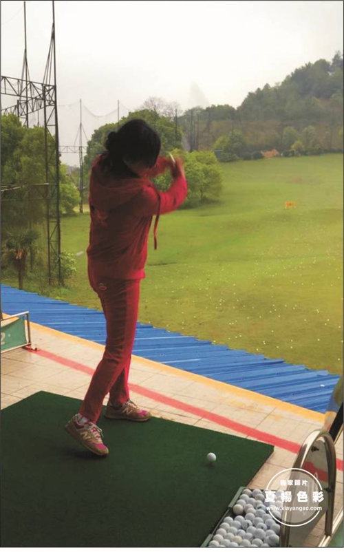 夏杨生活会户外活动